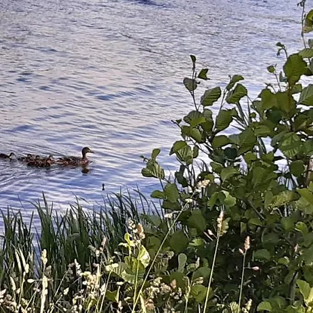 Norwida 28 אולקו