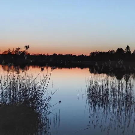 Norwida 28 * 올레코