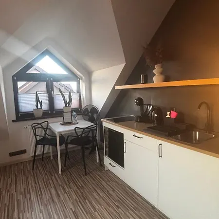 Norwida 28 올레코