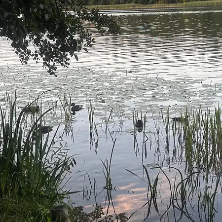 Norwida 28 - 300m Od Plazy * Olecko