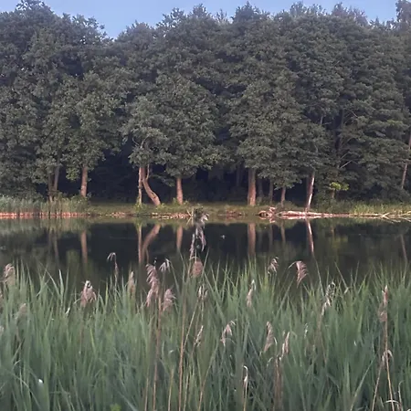 Norwida 28 아파트